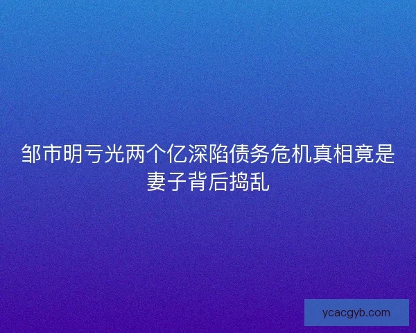 邹市明亏光两个亿深陷债务危机真相竟是妻子背后捣乱
