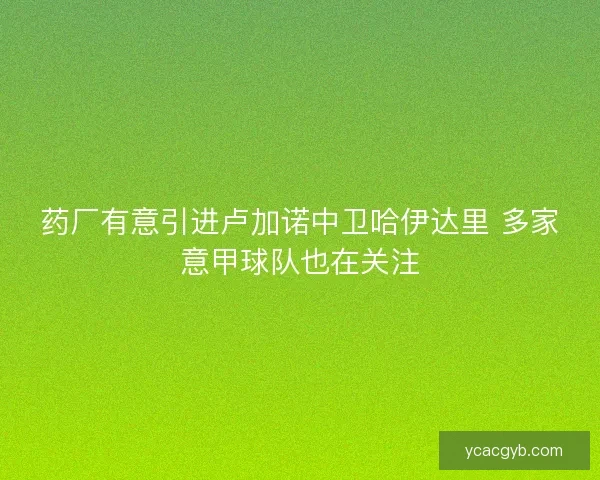 药厂有意引进卢加诺中卫哈伊达里 多家意甲球队也在关注 药厂有意引进卢加诺中卫哈伊达里 多家意甲球队也在关注