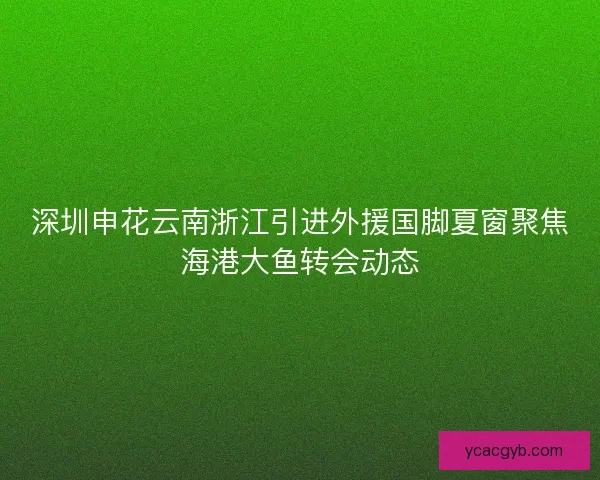 深圳申花云南浙江引进外援国脚夏窗聚焦海港大鱼转会动态