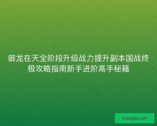 御龙在天全阶段升级战力提升副本国战终极攻略指南新手进阶高手秘籍